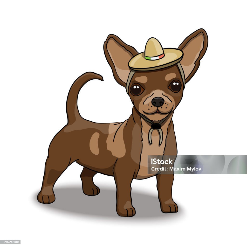 Chihuahua Smiling Cartoon Character Wearing Sombrero Stock Illustration -  Download Image Now - iStock