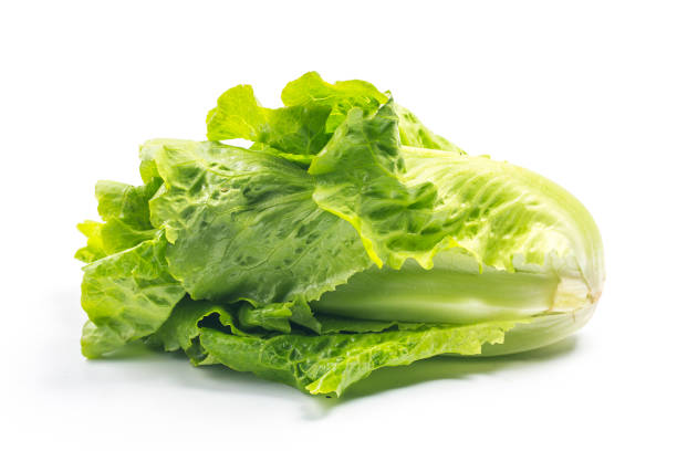 istock fresh green lettuce leaves isolated on white 896299550