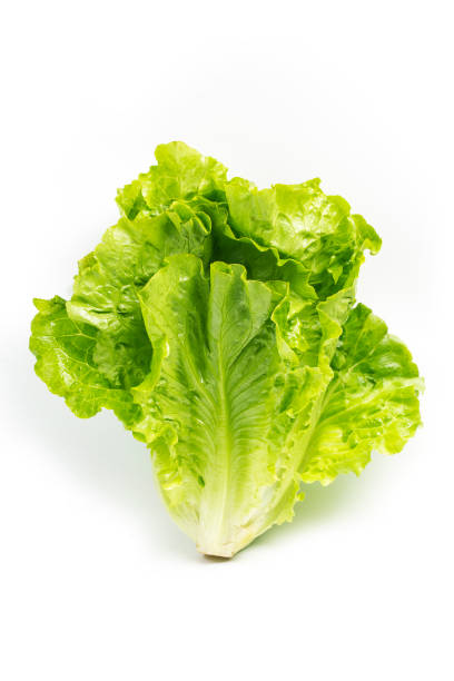 istock fresh green lettuce leaves isolated on white 896299636
