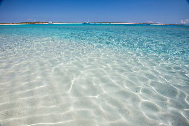 Desert tropical beach, clean sand, clear water paradise.