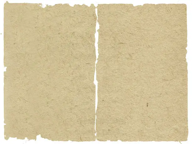 texture of the old paper
