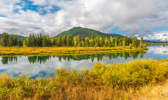 Landscape reflection of a forest inside the Grand Teton National Park in the Snake River by the Oxbow Bend viewpoint in autumn, Wyoming, USA.