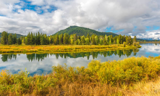 Snake River Landscape in Autumn Landscape reflection of a forest inside the Grand Teton National Park in the Snake River by the Oxbow Bend viewpoint in autumn, Wyoming, USA. snake river valley grand teton national park stock pictures, royalty-free photos & images