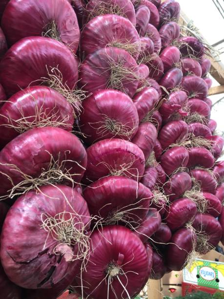 istock Purple onions tied and hanged close up view. 896319654