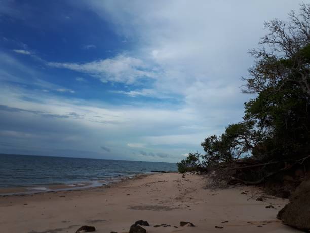 istock ALTER DO CHAO-SANTAREM-AMAZONIA-PARA-BRASIL 896330886