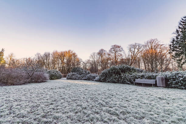istock Park in the winter with a wooden bench 896345404