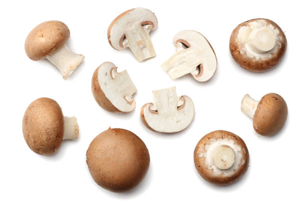 istock Fresh champignon mushrooms isolated on white background. top view 896352248
