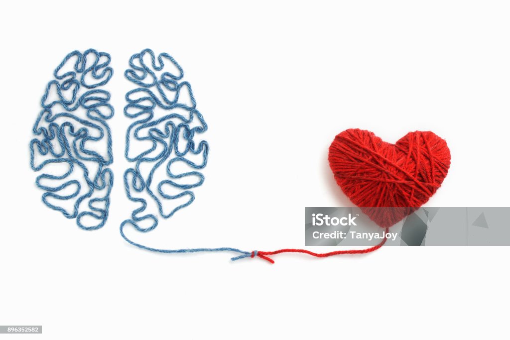 Coeur et le cerveau relié par un noeud sur un fond blanc - Photo de Émotion libre de droits