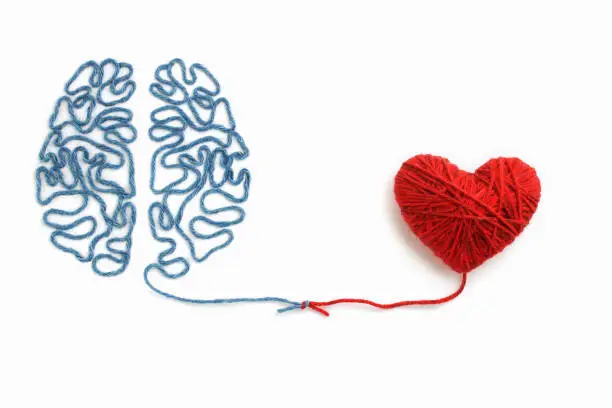 Photo of Heart and brain connected by a knot on a white background