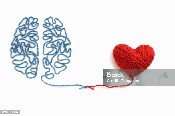 Foto de Coração E Cérebro Conectado Por Um Nó Em Um Fundo Branco e mais fotos de stock de Comportamento