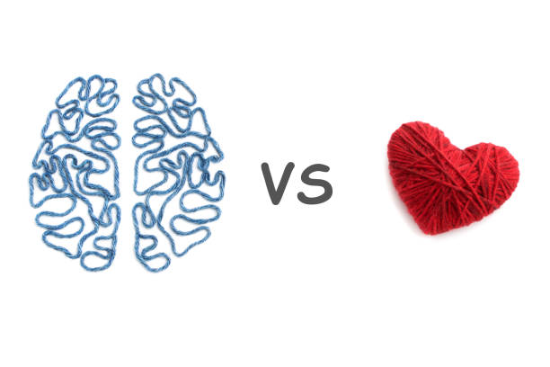 brain, heart and inscription vs on white background - sensibility imagens e fotografias de stock