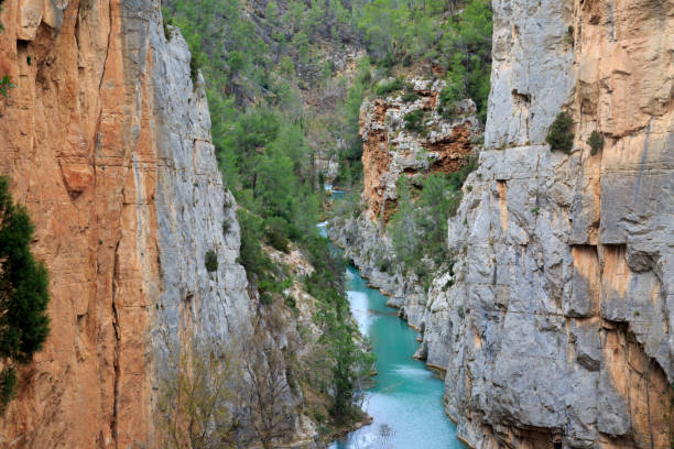 istock A canyon in the national reserve in Valencia 896361970