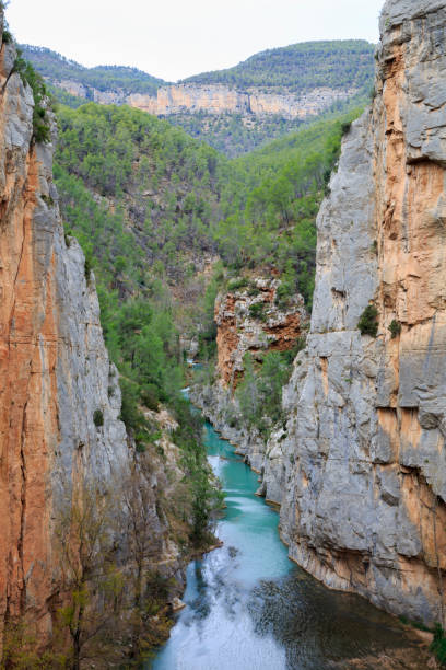 istock A canyon in the national reserve in Valencia 896368282