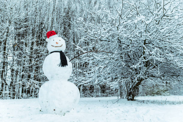 istock snow man in city park 896374584