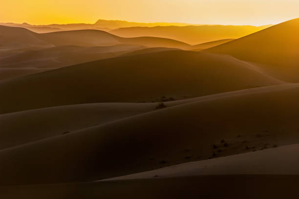 istock sunshine on sand hills in desert at sunset 896383784