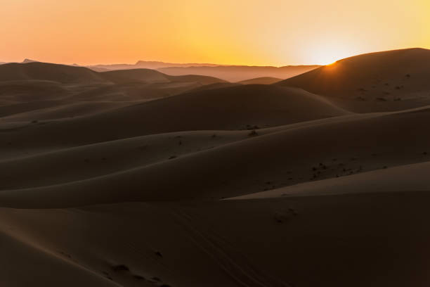 istock sunshine on sand hills in desert at sunset 896383858