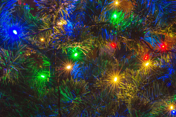 istock branch of a Christmas tree 896384250