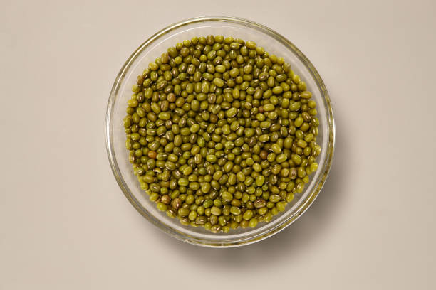 istock Whole Grains. Healthy grain foods. Moyashi Beans. 896389768