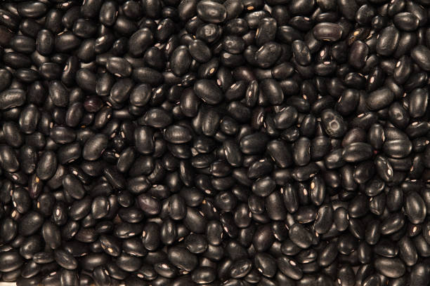 istock Whole Grains. Healthy grain foods. Beans. 896392076