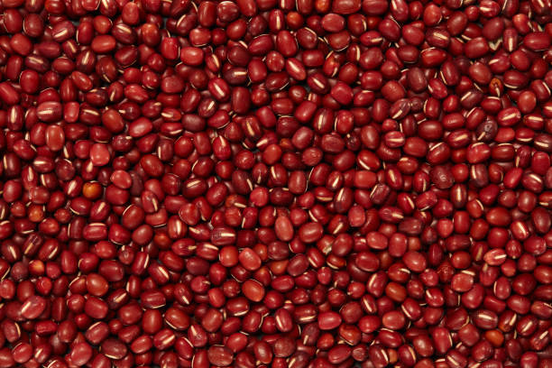 istock Whole Grains. Healthy grain foods. 896392112