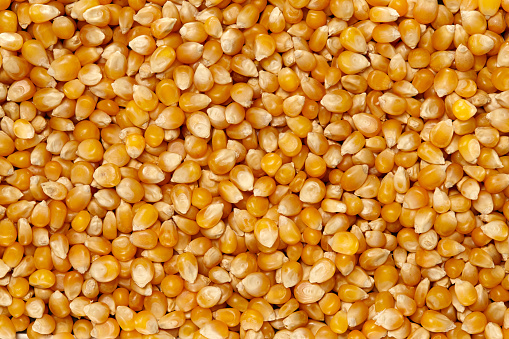 Top View of Whole Grains. Full Frame Texture.