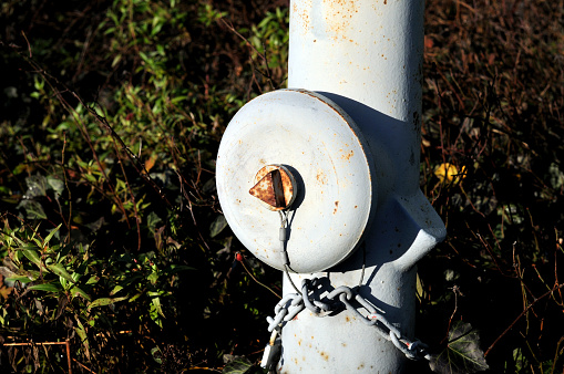 white painted fire hydrant with chained valve