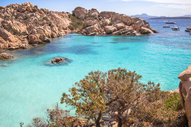 istock Cala Coticcio Beach, Sardinia, Italy 896402256