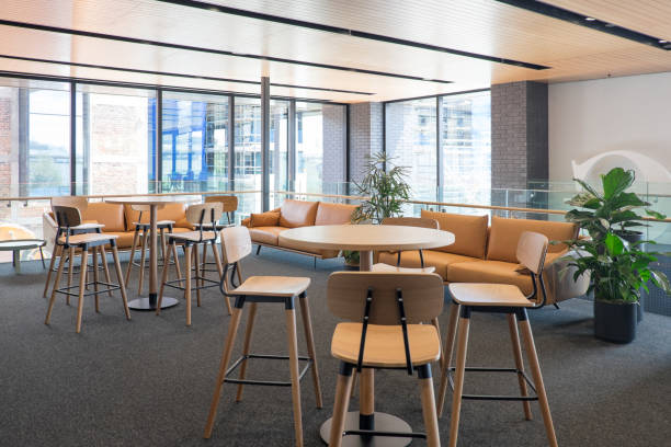 istock Modern office co-working space for creative industry, with couch, sofa, bar stools, leaner tables, carpet, plants, large glass windows. No people, modern building interior. 896403216