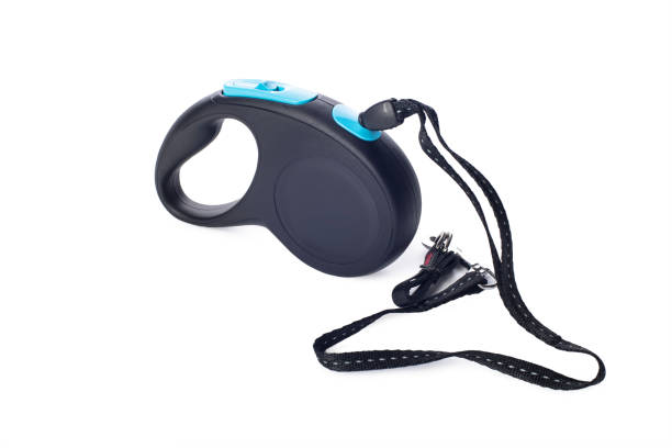 istock Automatic leash for dog on a white background with shadows, roulette type, pets shop assortment, products 896409614