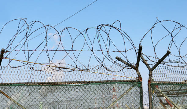istock a barbed-wire entanglement and an iron gate 896461152