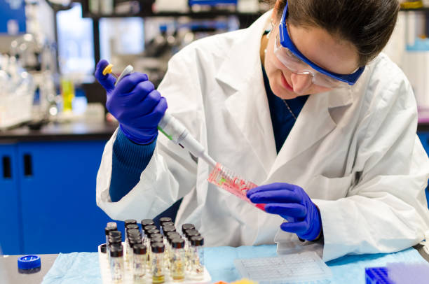 女性の科学者が研究室で研究 - blood agar ストックフォトと画像