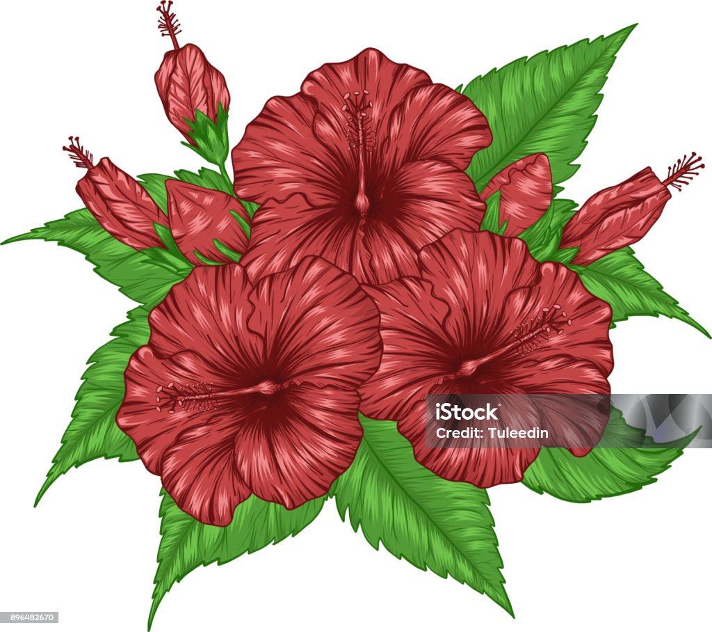 Ilustración de Vector De Flor De Hibiscus De Dibujo A Mano y más Vectores Libres de Derechos de Abstracto - Abstracto, Arte, Batik - iStock Ilustración de Vector De Flor De Hibiscus De Dibujo A Mano y más Vectores Libres de Derechos de Abstracto - Abstracto, Arte, Batik - iStock
