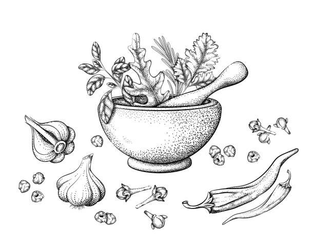 травы и специи в ступке - oregano freshness herb brown stock illustrations