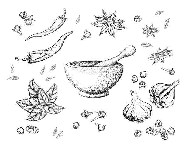 ilustraciones, imágenes clip art, dibujos animados e iconos de stock de especias y hierbas y mortero con pistilo - mortar and pestle condiment isolated food