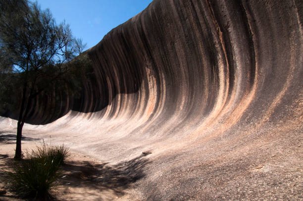 istock Wave Rock is a natural rock formation that is shaped like a tall breaking ocean wave. 896492306