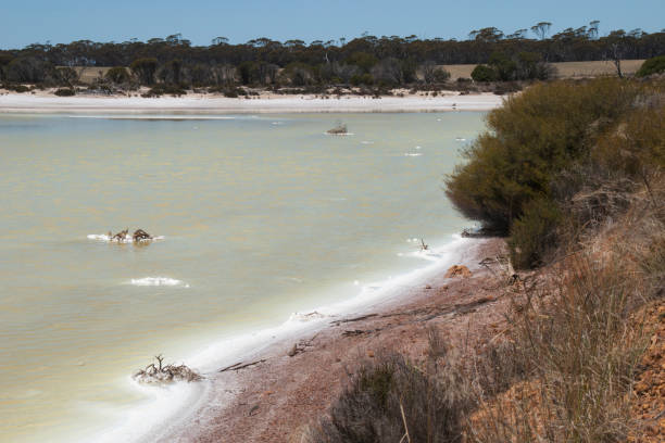 istock Landscape of salt lake shoreline 896515112