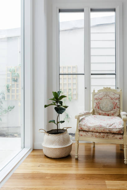 istock Cosy reading chair in light bright home with pot plant 896551124