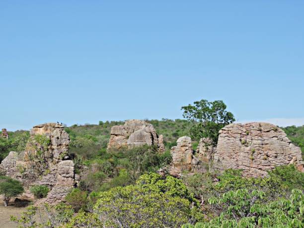 istock Landscape/ Rock mountains in the caatinga in northeastern Brazil 896555732