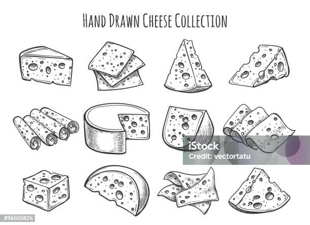 Cheese Sketch Set Stock Illustration - Download Image Now - Cheese, Drawing - Activity, Slice of Food