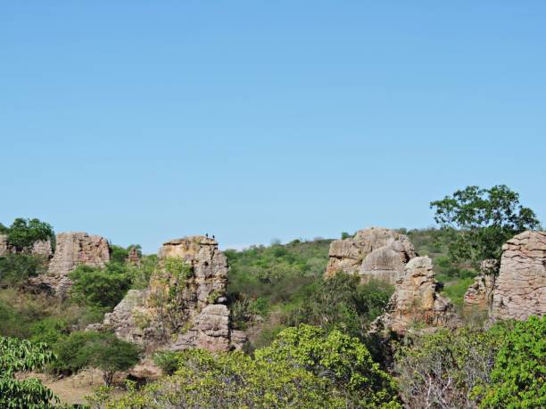 istock Landscape/ Rock mountains in the caatinga in northeastern Brazil 896555980
