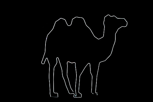 Neon light in camel shape on black background