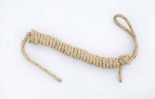 istock Ship rope isolated on white background. Thick sturdy hemp rope. 896560992