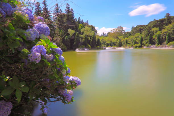 istock Lago Negro (Black Lake) blurred from long exposure, idyllic landscape with Hydrangeas  - Gramado, Rio Grande do Sul state - Southern Brazil 896563640
