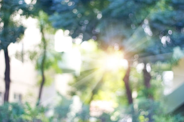 istock Blurred park in villa, vibrant green natural for background 896569886