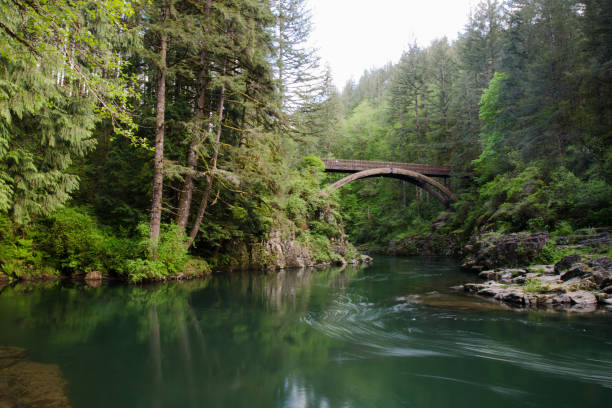 istock Amazing Beautiful Pacific Northwest River with Arched Bridge 896573882