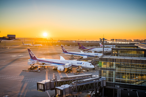 Tokyo, Japan - View of a row of aircrafts in Tokyo Haneda International Airport in the morning.