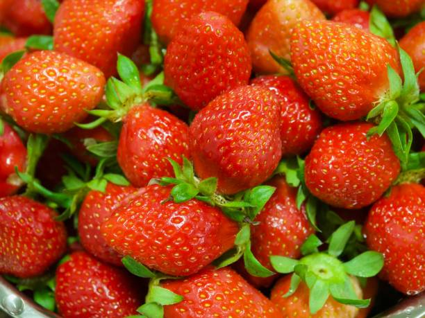 istock Strawberry, freshness, sweetness, red, 896579182