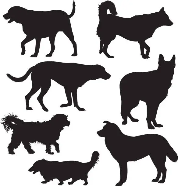 Vector illustration of Dog Silhouettes 4