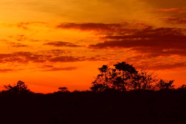 istock sunset beautiful colorful landscape and silhouette tree mountain in sky twilight time 896613370