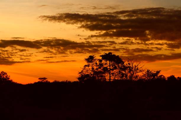 istock sunset beautiful colorful landscape and silhouette tree mountain in sky twilight time 896613406